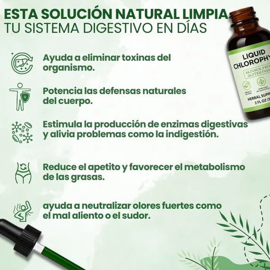 Benevolent™ | Gotas de Clorofila