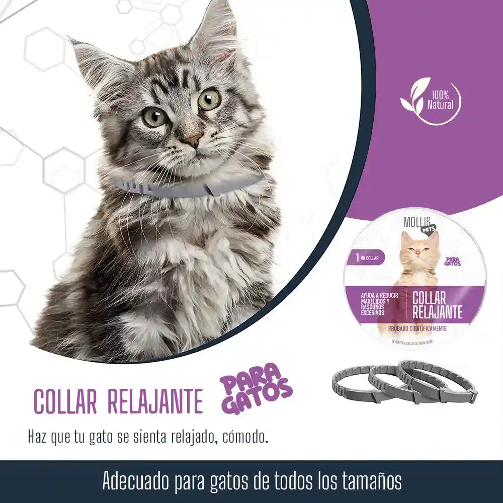 Collar relajante para mascotas