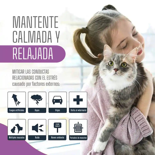 Collar relajante para mascotas